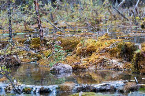 春节去阿坝州旅行,体验浓浓的藏族气息5