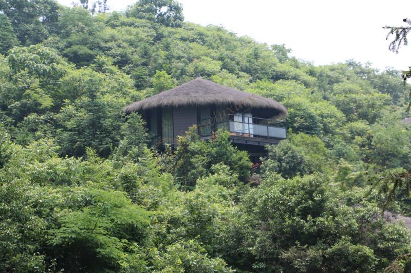 莫干山踏青都有哪些事项需要注意?3