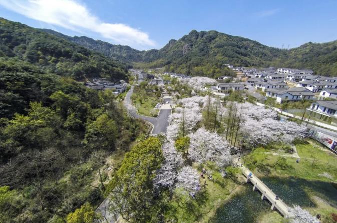 兰亭安麓 ▏赏樱花住古宅2