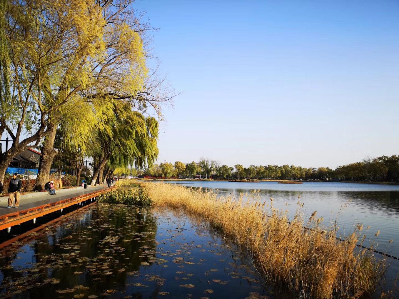 北京什刹海公园在哪里?有什么好玩的?3