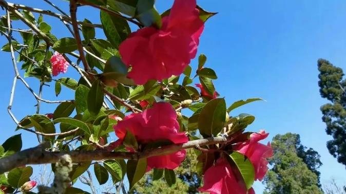 云南广西踏青游，最值得推荐的几个目的地2