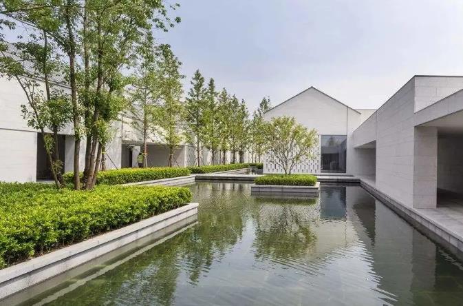 阿丽拉·乌镇 | 闹中取静的世外桃源6