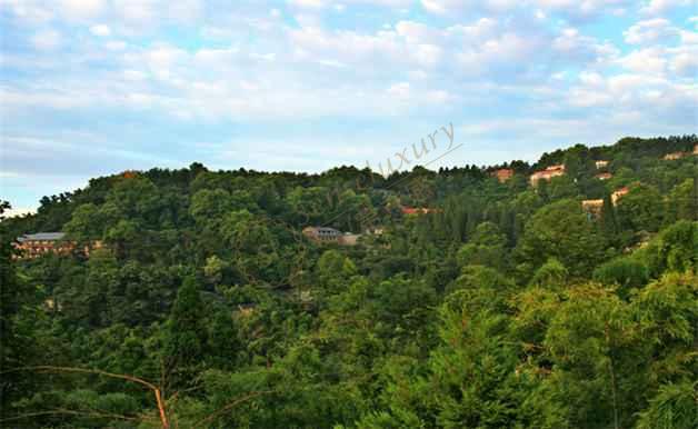 去莫干山踏青一趟,大概要多少预算?6