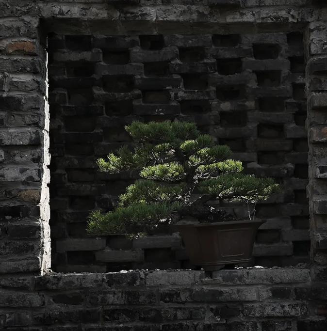 烟花三月下「扬州」，这篇攻略请你查收1