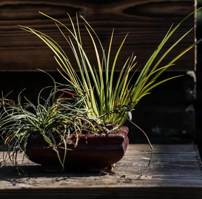 烟花三月下「扬州」，这篇攻略请你查收3