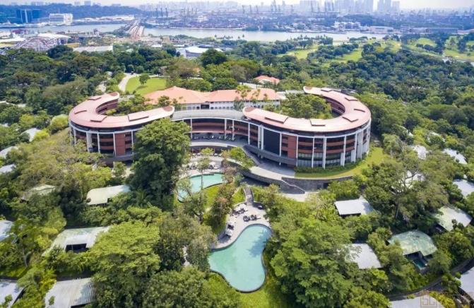 春暖花开时，游玩新加坡5