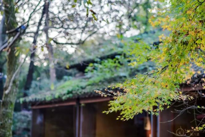 春游去杭州，这几家酒店值得一住2