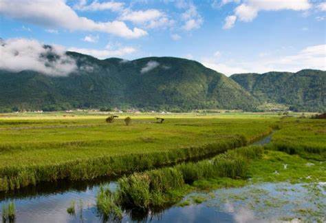 云南腾冲旅游攻略,走进历史文化名城4