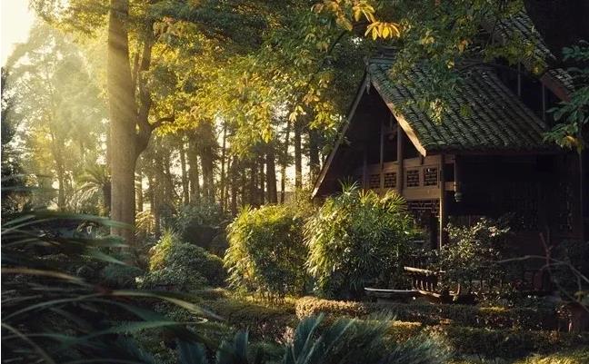 春回大地，去青城山与大熊猫一起来个踏春之旅吧！3