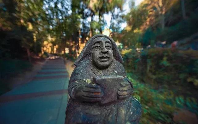 春回大地，去青城山与大熊猫一起来个踏春之旅吧！5