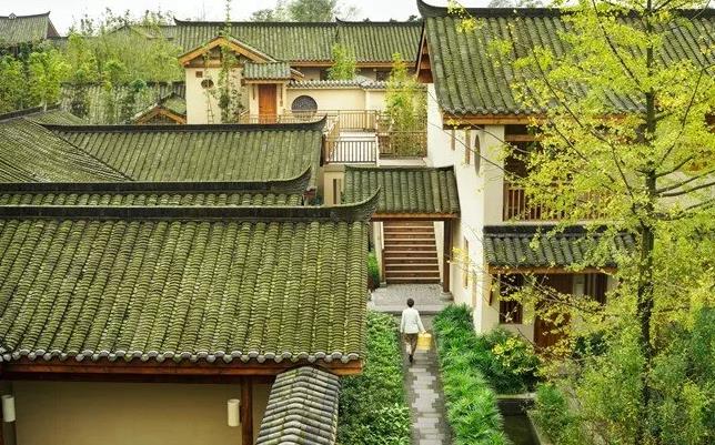 春回大地，去青城山与大熊猫一起来个踏春之旅吧！7