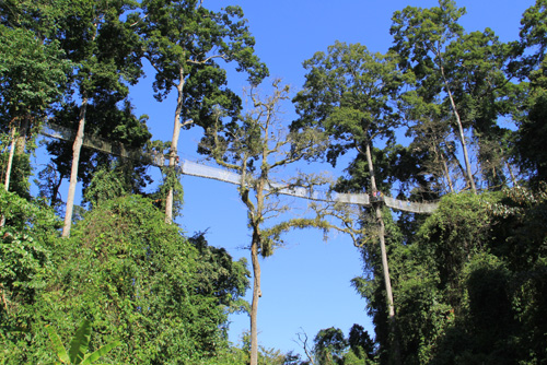 西双版纳旅游,这几个景点千万不要错过3