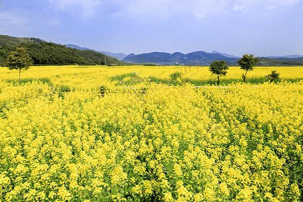 什么时候去莫干山度假最合适?2