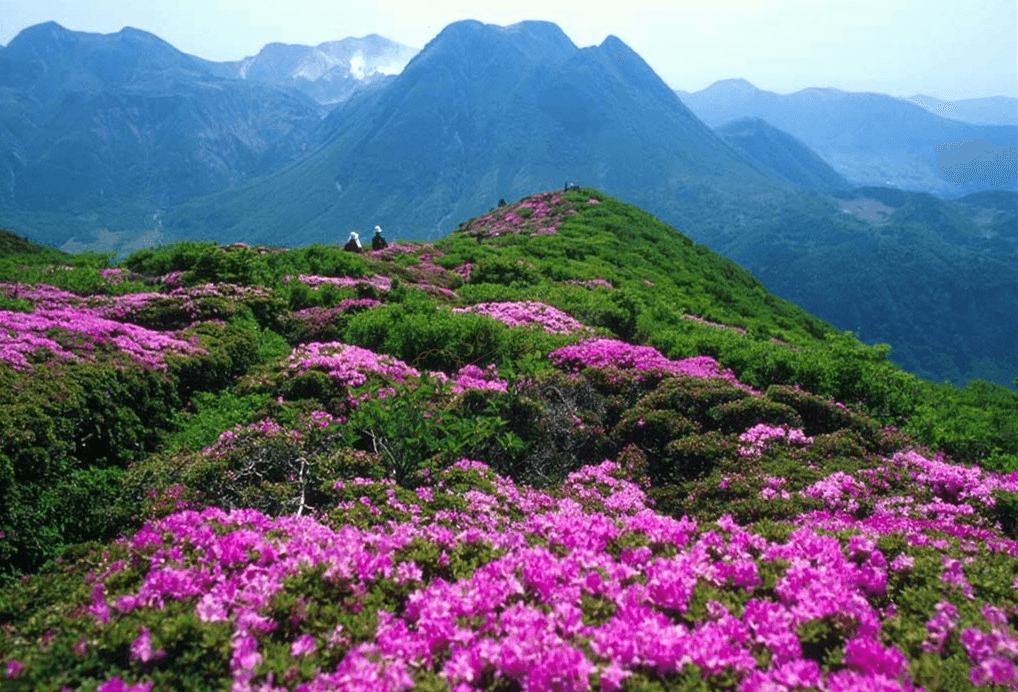 什么时候去莫干山度假最合适?3