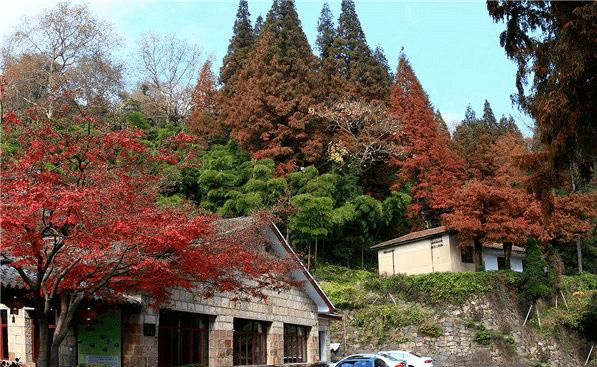 什么时候去莫干山度假最合适?4