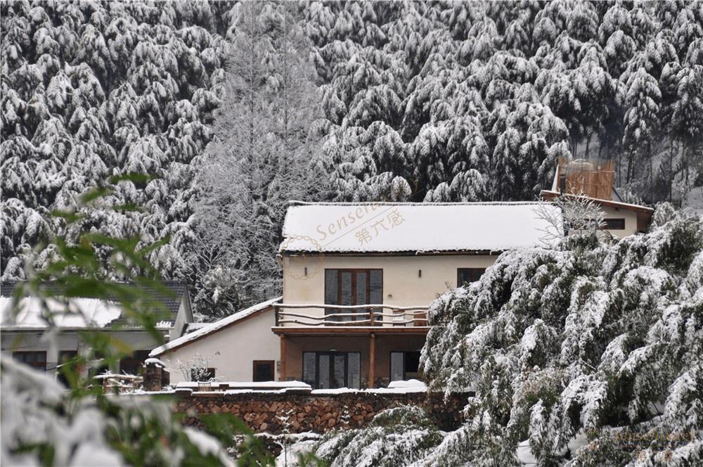 什么时候去莫干山度假最合适?6