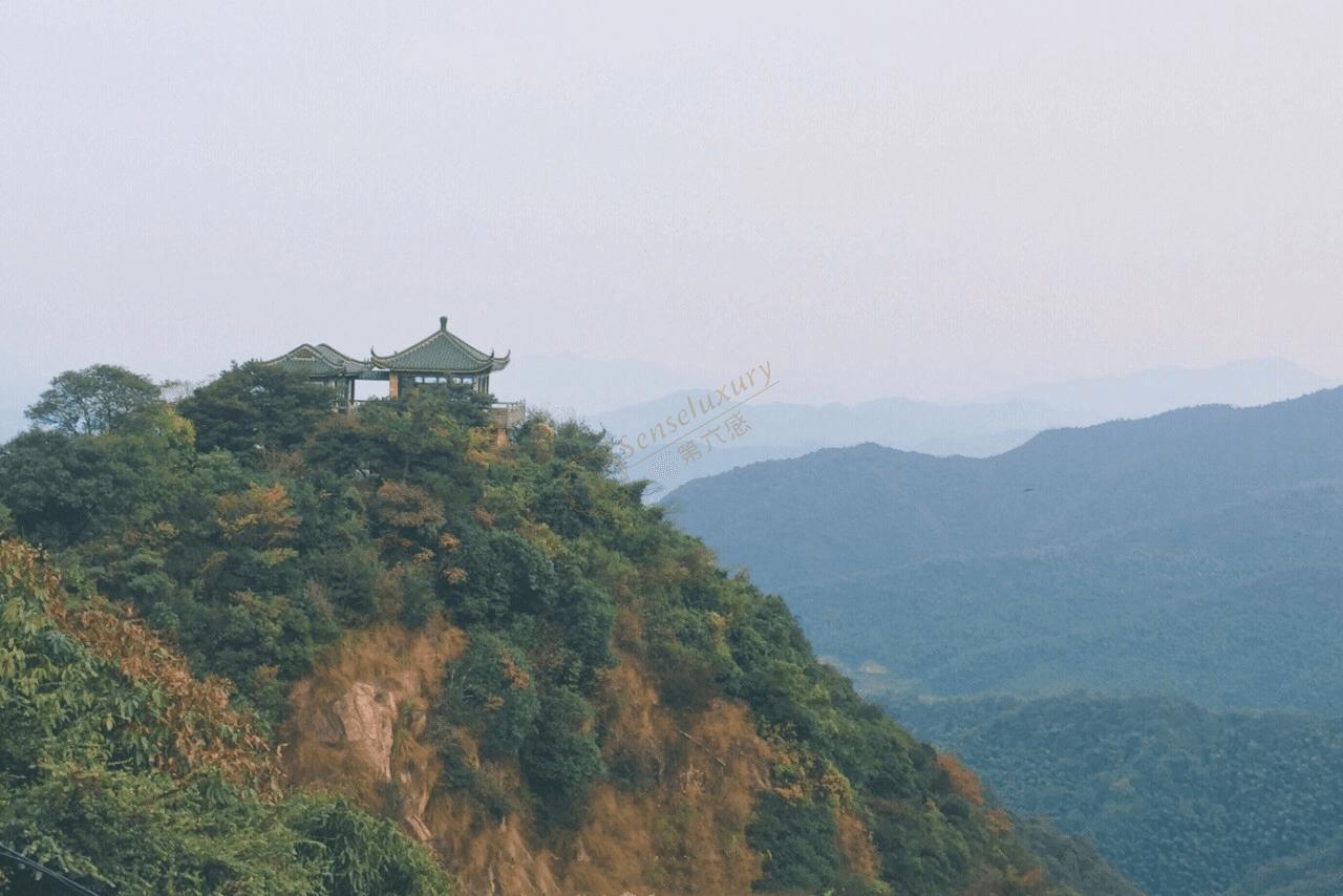 去莫干山踏青,都有哪些景点值得观光?6