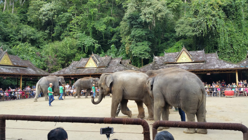 西双版纳春游必带的攻略大全1