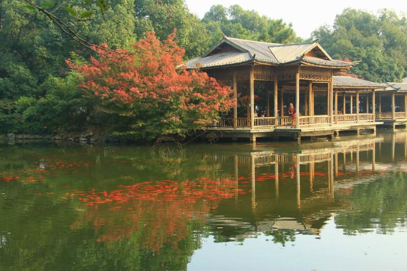 杭州一日游行程安排,天堂般的旅游城市3