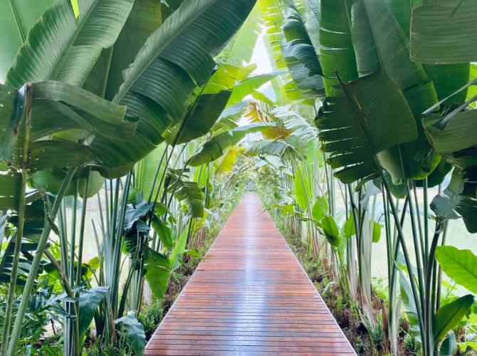 国内周边春游,这几个酒店了解一下21