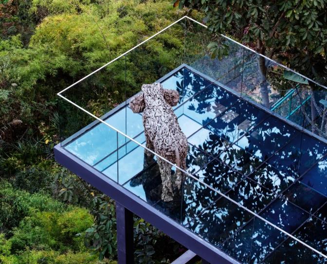 西双版纳·泊度 | 体验大自然的纯生与魅力1