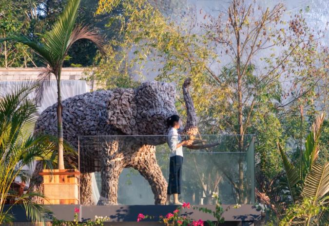 西双版纳·泊度 | 体验大自然的纯生与魅力3