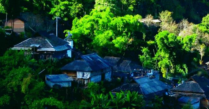 西双版纳·泊度 | 体验大自然的纯生与魅力4