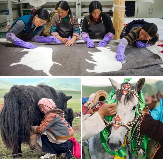 每年仅营业5个月,被评为“世界十大最佳野趣营地”—诺尔丹营地6