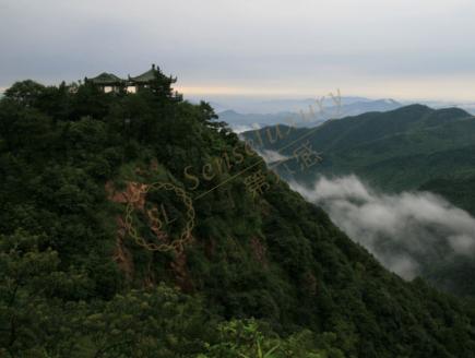 五一莫干山亲子游，适合带孩子来游山玩水3
