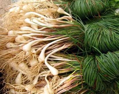 成都龙门山都有哪些特产值得带回去的？3