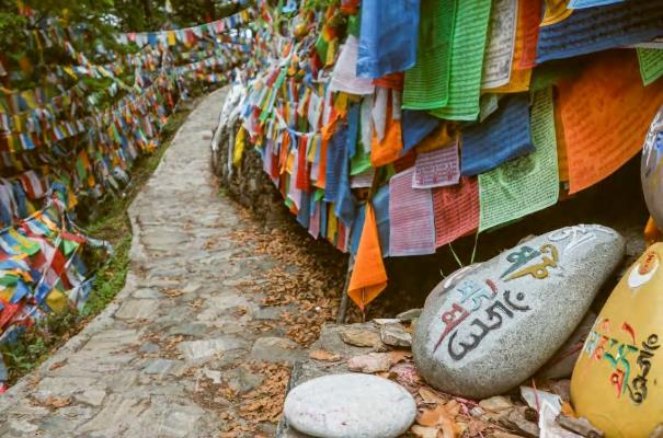 松赞之旅 | 云南——寻找珍贵风物6天5晚10