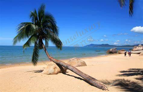 什么时候去三亚最好？什么时间最合适？6