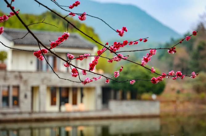 杭州富春山居 | 水送山迎入富春，一川如画晚晴新1