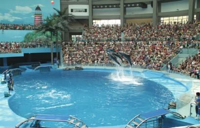 成都海昌极地海洋世界都有哪些好玩的项目?2