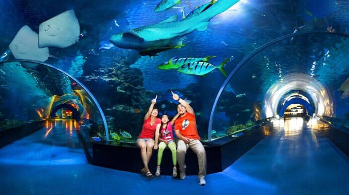 成都海昌极地海洋世界都有哪些好玩的项目?4