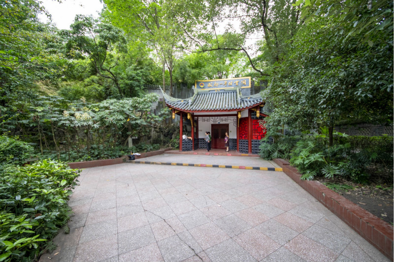 成都人民公园旅游攻略,今年春游好去处4