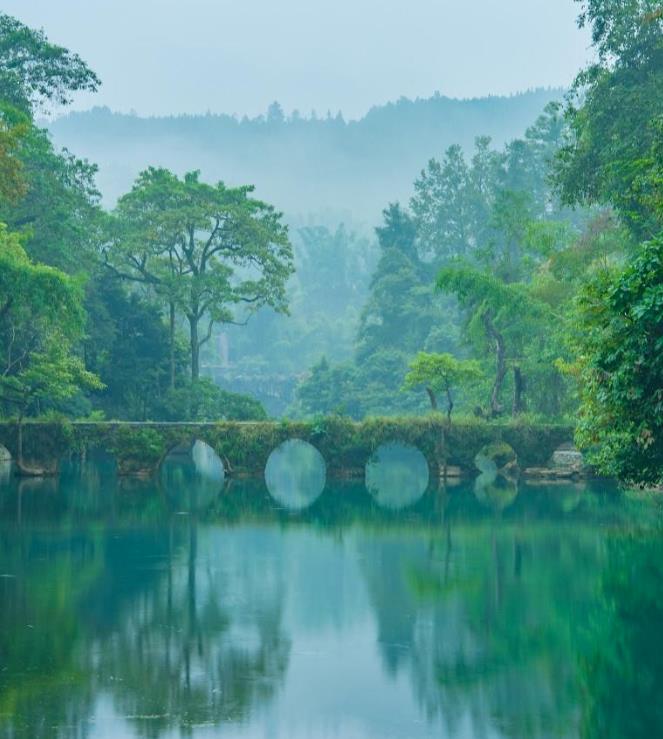 花事物语 | 立体赏樱，INS风悬崖咖啡8