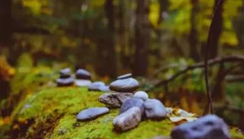 松赞旅行 | 中国●藏东 秘境冰川藏地雪域4