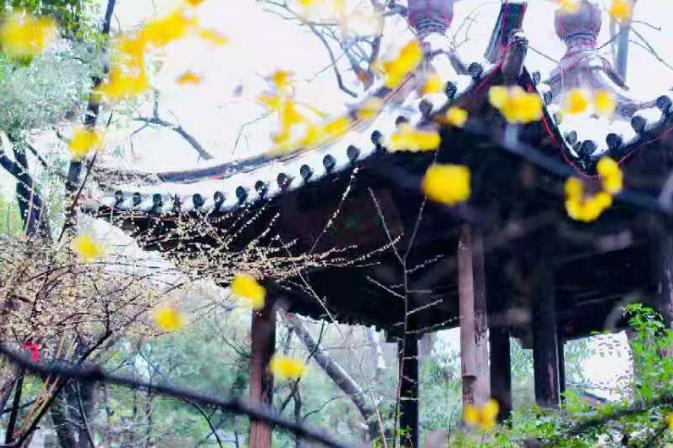 江浙沪周边踏青，都有哪些好去处？2