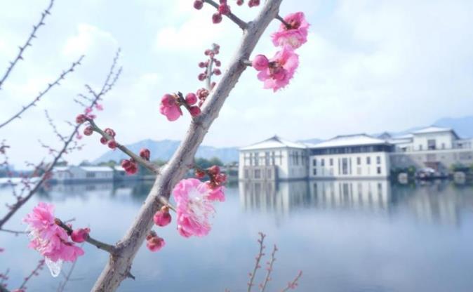 江浙沪周边踏青，都有哪些好去处？11