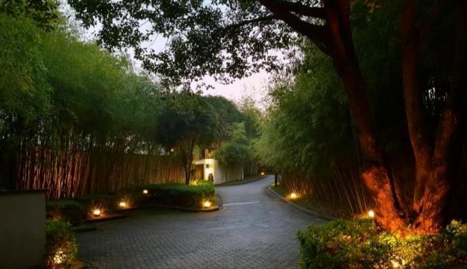 江浙沪周边踏青，都有哪些好去处？14