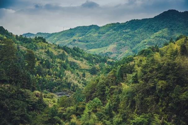 奇遇山海 | 探寻漳州秘境，一座低调的千年古城1