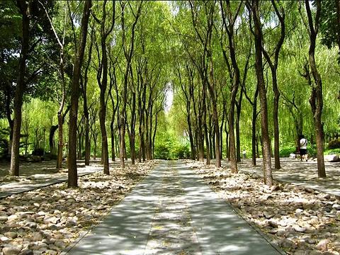 五一杭州一日游行程安排2