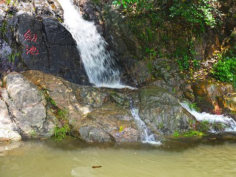 五一莫干山自由行的旅游方式该怎么玩呢?6