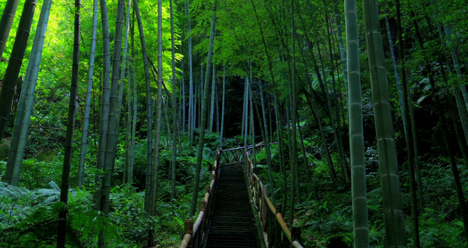 五一成都蜀南竹海旅游攻略,逃离城市生活1