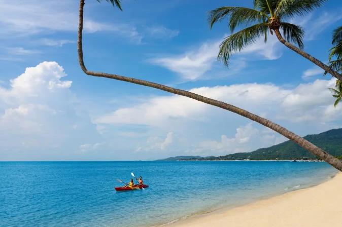 种草苏梅岛 ▏7月开放前，一起先饱眼福5