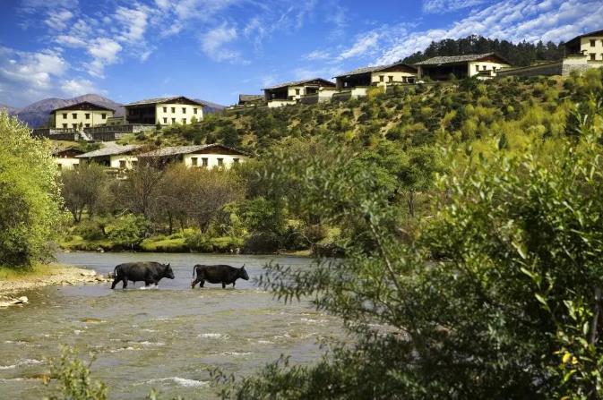 《司藤》同款——野奢·香格里拉，避世悦榕2