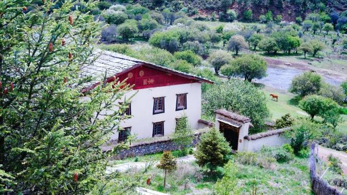 《司藤》同款——野奢·香格里拉，避世悦榕4