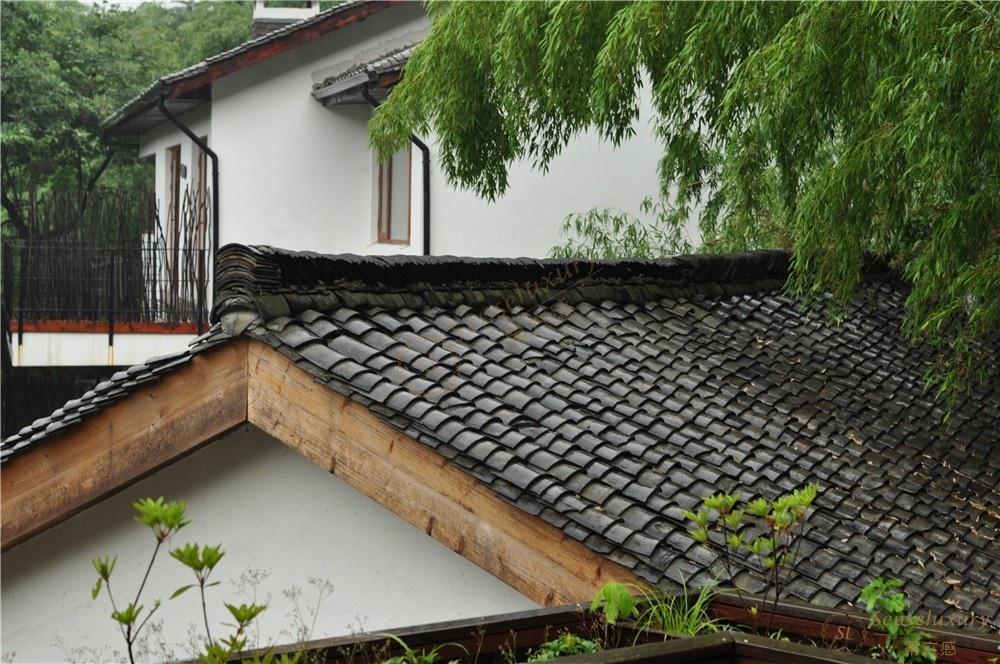 莫干山民宿攻略,踏青好时节!5