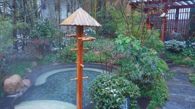 去黄山入住祥源云谷酒店是个什么样的体验9